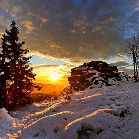 Horský apartmán Pod Smrčinou - 3KK mezonet Vaclavov u Bruntalu Exteriér fotografie