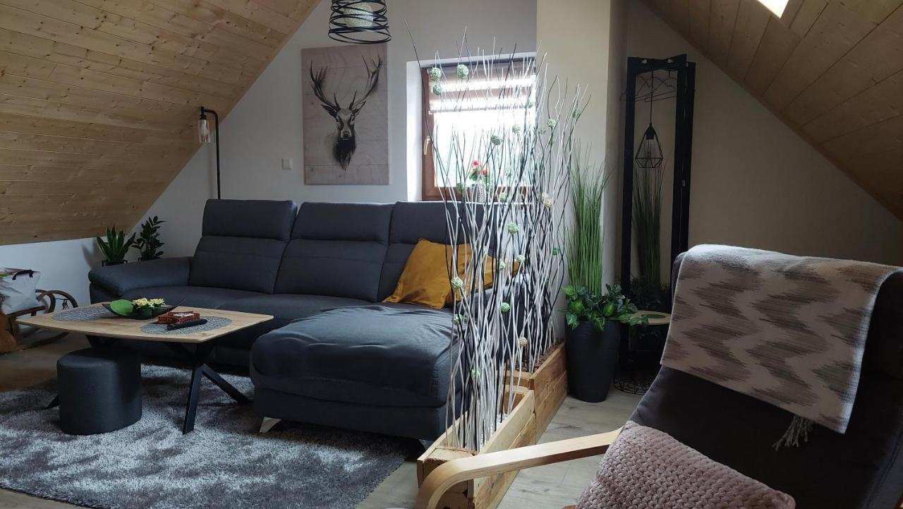 Horský apartmán Pod Smrčinou - 3KK mezonet Vaclavov u Bruntalu Exteriér fotografie