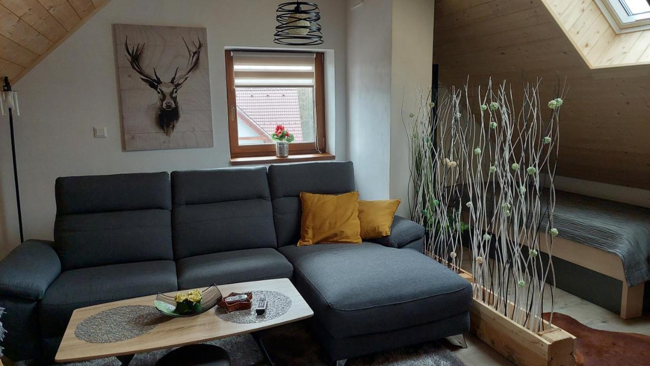 Horský apartmán Pod Smrčinou - 3KK mezonet Vaclavov u Bruntalu Exteriér fotografie